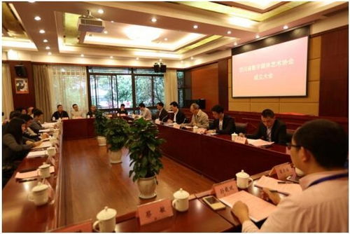 四川省数字媒体艺术协会