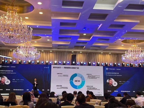 唐能风采 唐能翻译参加dmsm2021第十一届数字营销与社交媒体峰会