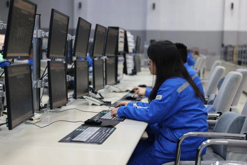 2024全国重点网络媒体龙江行 大庆石化数字赋能生产助推高质量发展